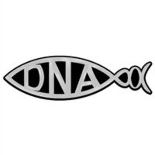 DNA 피쉬 플라스틱 오토 엠블렘, 앰블럼 - [Silver][6 1/ 4’’ x 2’’]