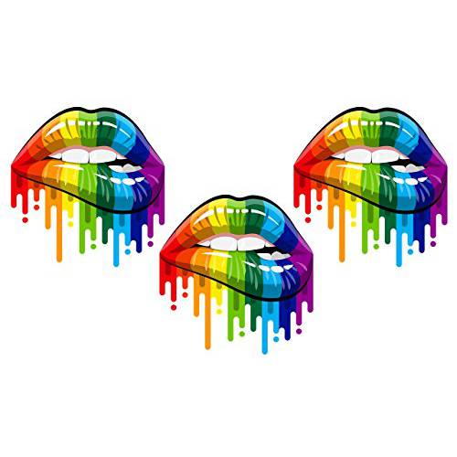 FESLLC Gay Pride 범퍼 스티커 Lips Smile 레인보우 디자인 데칼 (3 팩)