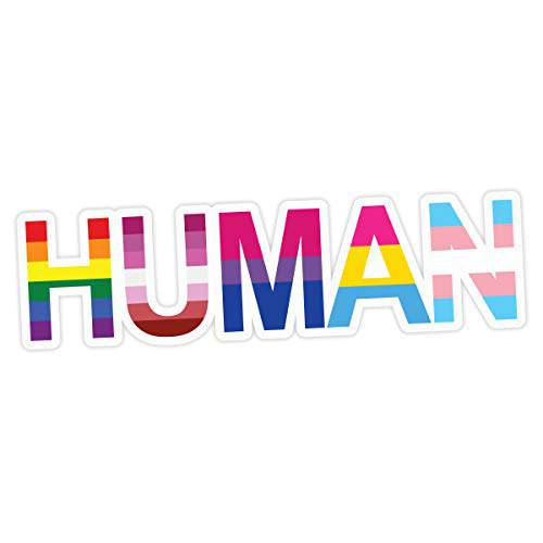 Applicable Pun  인간 LGBT 플래그 레인보우 레즈비언 양성애자 Pansexual 트랜스젠더 - 비닐 데칼 스티커 7 인치 와이드
