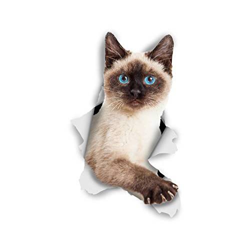 Winston& Bear 3D 고양이 스티커 - 2 팩 - Breakout Siamese 고양이 데칼,도안 for 벽면 - 스티커 for 침실 - 냉장고 - 변기 - Room - 리테일 팩늙은 Blue-Eyed Siamese 고양이 스티커
