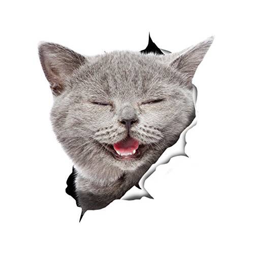 Winston& Bear 3D 고양이 스티커 - 2 팩 - Laughing 그레이 고양이 데칼,도안 for 벽면 - 냉장고 - 변기 - 차량용 - 리테일 팩늙은