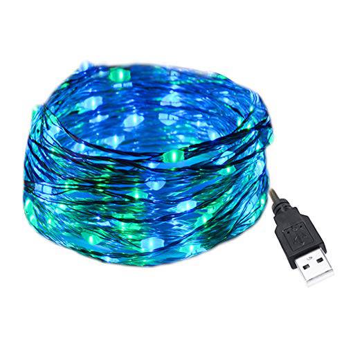 HAHOME 33Ft 100 LEDs USB 플러그인 Fairy 끈,스트립,선 조명,라이트 호환 웨딩 Christmas Party Decoration, Blue+ 그린