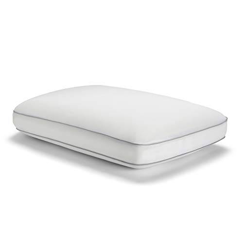 Sealy 에쎈셜 멋있는&  위로 양면 멋있는ing Pillow, 메모리 Foam, Standard/ Queen, 화이트