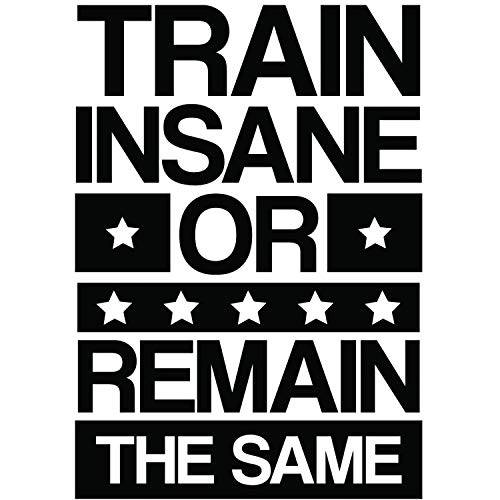 My Vinyl Story | Train Insane or Remain The Same | Motivational 라지 헬스장 벽면 데칼,스티커 벽면스티커,레터링,문구스티커 가정용 헬스장 Yoga Exercise 피트니스 운동 Motivational 벽면 아트 장식,데코 Vinyl 제거가능 스티커 22x32 in