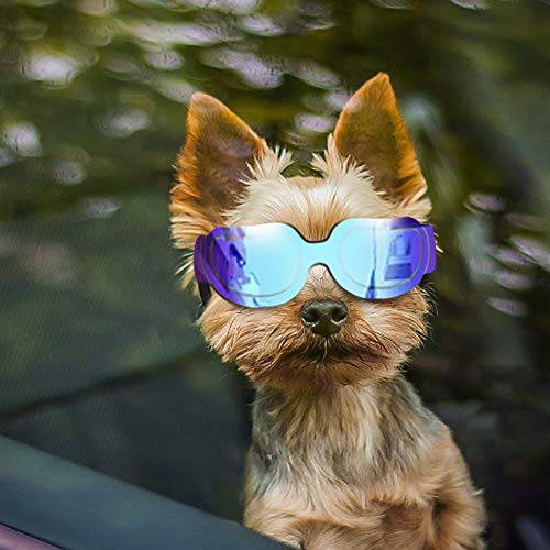 Enjoying 소형견 썬글라스 - 강아지 고글 UV 프로텍트 썬글라스 바람막이 조절가능 밴드 강아지 Doggy 고양이
