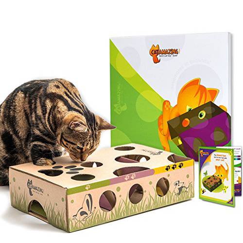 Cat Amazing Best 고양이 장난감 Ever 체험형 트리트먼트 미로 퍼즐 공급기 고양이