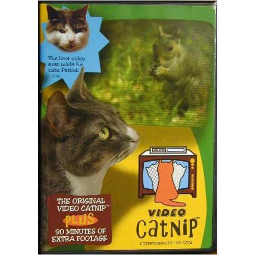 Video Catnip
