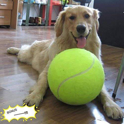 Banfeng 거대한 9.5 강아지 테니스 볼 라지 애완동물 Toys Funny 아웃도어 스포츠 강아지 볼 선물 팽창 니들