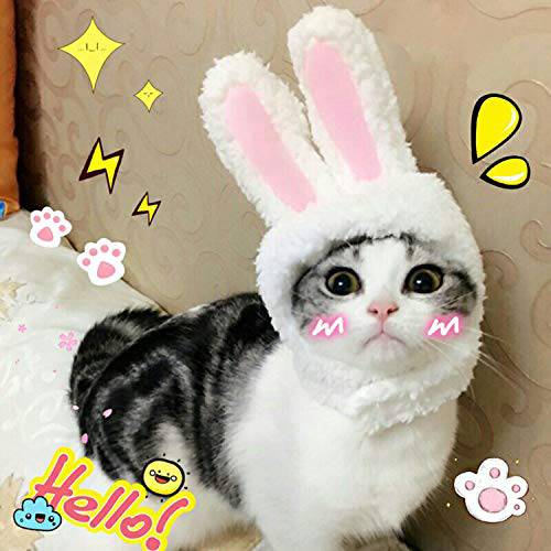 BWOGUE  귀여운 할로윈 Bunny 토끼 모자 Ears  고양이&  소형견 파티 할로윈 할로윈 악세사리 모자