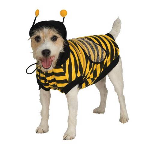 범블 Bee 애완동물 할로윈