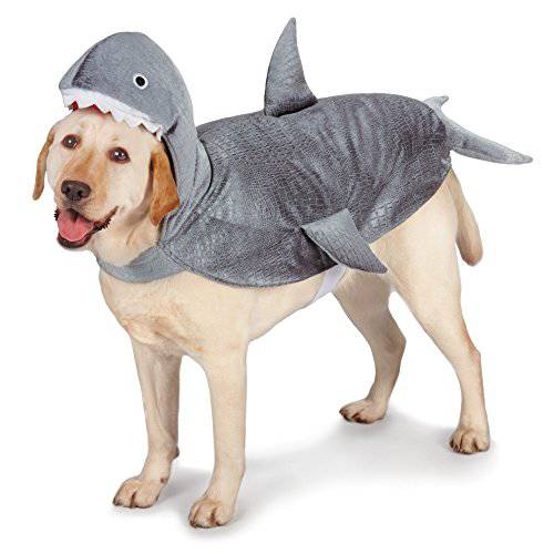 Casual Canine Shark 의상