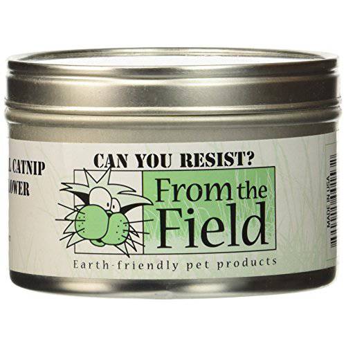 From The Field 1-Ounce Can You 저항 캣닙 Leaf and 플라워 Tin Can