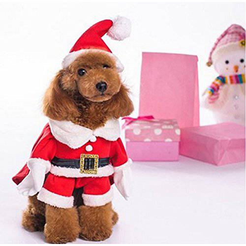 NACOCO 애완동물 크리스마스 의상 강아지 Suit 캡 산타 클로스 Suit 강아지 후드 고양이 크리스마스 의상