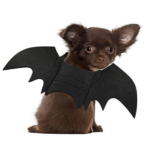 RYPET 강아지 bat 할로윈 - 할로윈 애완동물 할로윈 bat Wings 코스프레 강아지 할로윈 고양이 할로윈 파티