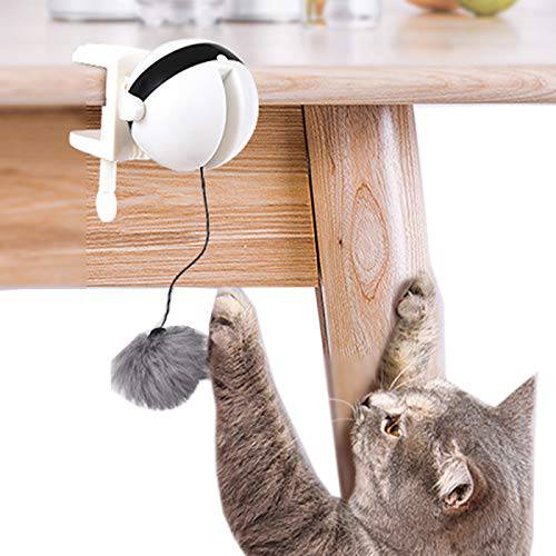 Alfie  애완동물 - 맥심 자동 Yo-Yo 체험형 고양이 장난감 라이트 캐치 페더 장난감