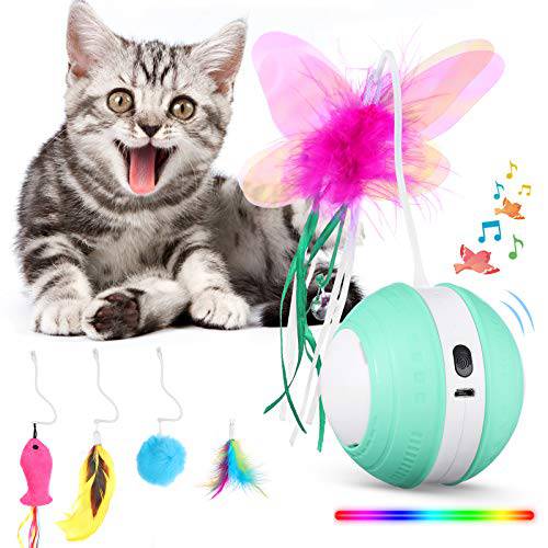 체험형 고양이 장난감 볼 Colorful 라이트&  새 사운드 - USB 충전 자동 불규칙한 360 도 셀프 회전 볼 - 5 교체용 깃털 로봇식 고양이 장난감 실내 고양이 Kitten