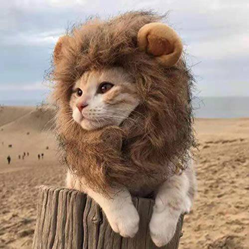 Yohi  고양이 캡, 고양이 옷, 애완동물 모자, 드레스 Your 고양이 as a Lion.3 여러 사이즈. (L)