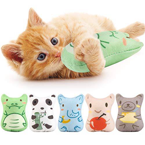 Dorakitten 캣닙 장난감 실내 고양이 - 5PCS 봉제 고양이 치발기 이갈이 체험형 캣닙 채우는 Kitten 장난감 소프트 애완동물 장난감