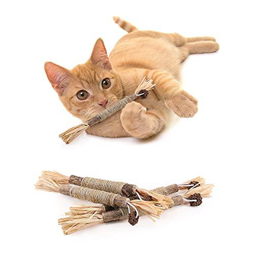 PAKESI 캣닙 스틱,막대 4-Piece 세트 of 고양이 장난감, 실버 지팡이 클리닝 고양이 이, 실내 고양이 체험형 장난감, 적용가능한 모든 고양이 씹는 스틱,막대 to 완화 스트레스