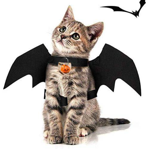 SIHUAN 애완동물 고양이 Bat Wings 할로윈 파티 장식, 강아지 칼라 리드 코스프레 Bat 할로윈