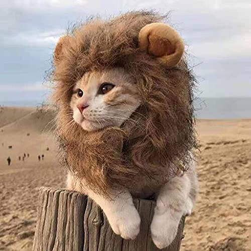 고양이 캡, 사자 갈기 고양이, 드레스 Your 고양이 As A Lion.3 여러 사이즈.