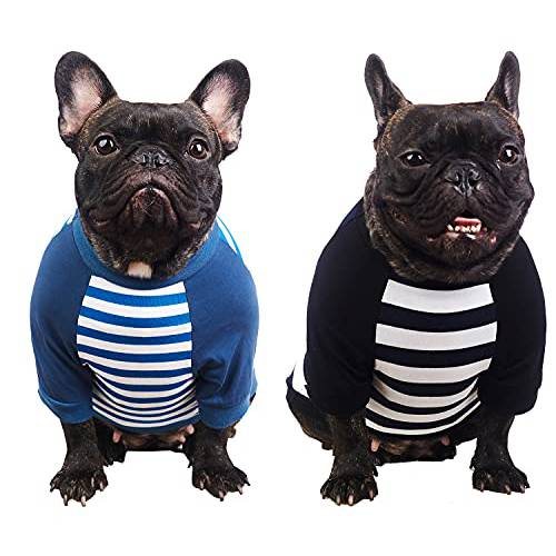 Wolspaw 2-Pack 줄무늬 강아지 셔츠 100% 코튼 강아지 보이 걸 스몰 옷 T-Shirts 고양이 Tee 통기성 Strechy, 블루 블랙 XS