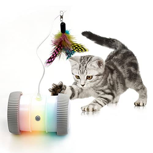 자동 고양이 장난감 체험형 고양이 페더 장난감, 애완동물 운동 장난감, 전기,전동 장난감 실내 고양이/ Kitten, USB 충전
