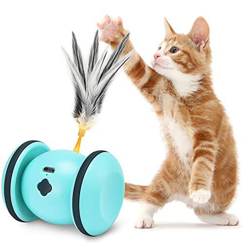 체험형 고양이 장난감 실내 고양이, 고양이 페더 장난감, 자동 고양이 장난감 LED 라이트, Kitten 장난감, 스마트 전기,전동 고양이 마우스 장난감, 애완동물 운동 장난감, USB 충전식, 오토 on/ Off