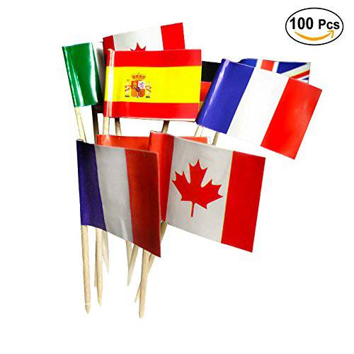 National Flag Picks Flag Toothpicks Cocktail Sticks Cupcake Toppers, Random Country, 100 Count