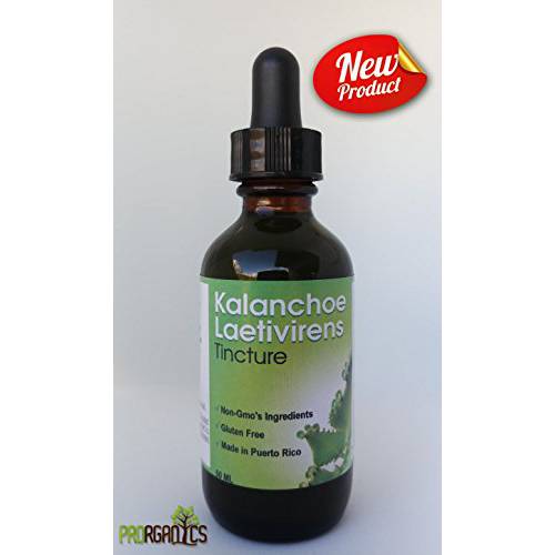 Organic Kalanchoe Tincture by Prorganics
