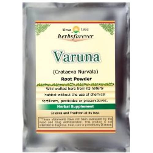 Herbsforever Certified Organic Varuna Powder (Bark) (Crataeva Nurvala) (Prostate Health) Support Prostatic, Kidneys, Gall Bladder and Urinary Tract Health, 16 Oz, 454gms (Optimum Potency)