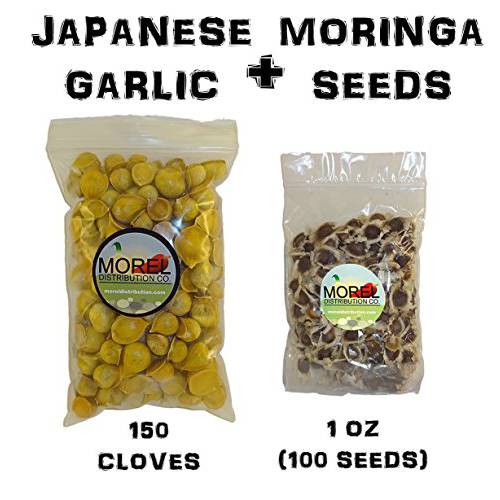 Japanese Garlic (150 Cloves) + Moringa Seeds (1 oz) Bundle
