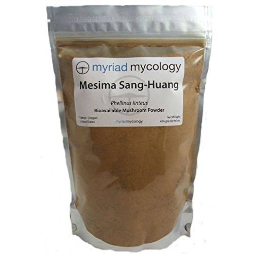 Mesima Mushroom (Sang Huang) Powder 1 lb