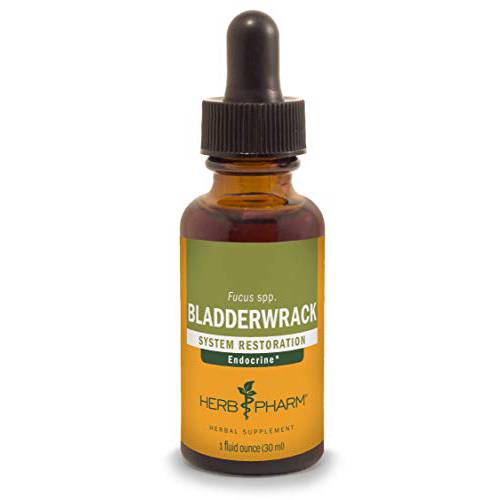 Herb Pharm Bladderwrack Liquid Extract - 1 Ounce (DBLADD01)