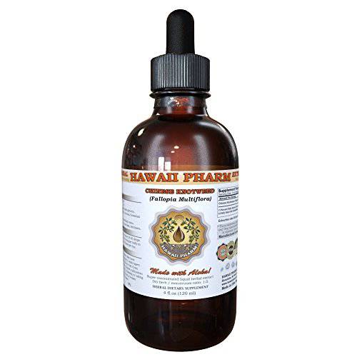 Chinese Knotweed Liquid Extract Tincture 4 Oz (120ml)