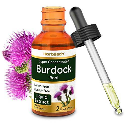 Burdock Root Tincture | 2 fl oz | Alcohol Free | Vegetarian, Non-GMO & Gluten Free Liquid Extract | by Horbaach