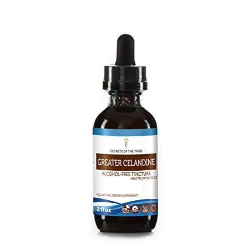 Secrets of the Tribe Greater Celandine Alcohol-Free Liquid Extract, Greater Celandine (Chelidonium Majus) Tincture Supplement (4 FL OZ)