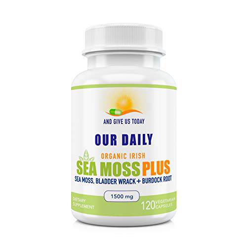 Our Daily Vites Organic Sea Moss 1500 MG 120 Ct Wildcrafted Irish Sea Moss Bladderwrack and Burdock Root Capsules Wildcrafted Vegan and Seamoss Superfood Supplement
