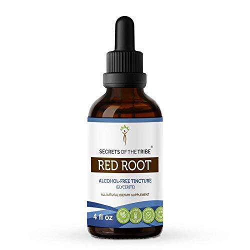 Secrets of the Tribe - Red Root Tincture Alcohol-Free Extract, Wildcrafted Red Root (Ceanothus Americanus) Dried Root 4 Fl Oz