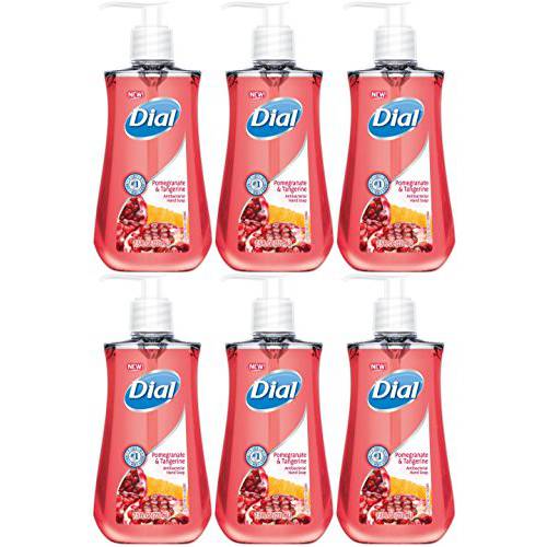 DIA02795 - Dial Pomegranate Antibacterial Hand Soap - 6 Pack