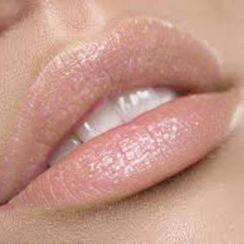 By The Clique Premium Nude Lip Gloss | Unashamed…