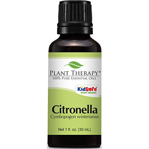 Plant Therapy Citronella Essential Oil 30 mL (1 oz) 100% Pure, Undiluted, Therapeutic Grade