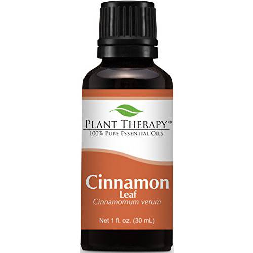 Plant Therapy Cinnamon Leaf Essential Oil 30 mL (1 oz) 100% Pure, Undiluted, Therapeutic Grade