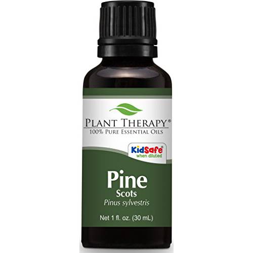 Plant Therapy Scots Pine Essential Oil 30 mL (1 oz) 100% Pure, Undiluted, Therapeutic Grade