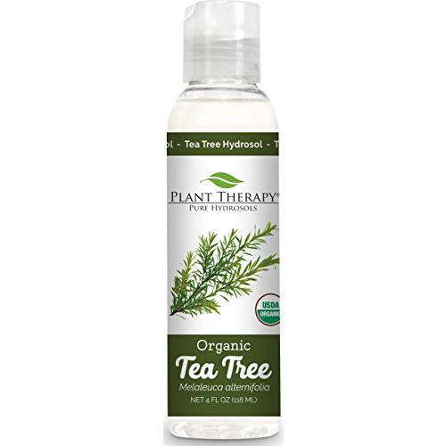 Plant Therapy Tea Tree (Melaleuca) Hydrosol 4 oz by-Product of Essential Oils
