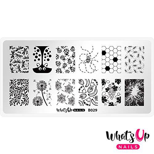 Whats Up Nails - B029 Picnic in the Park Stamping Plate for Nail Art Design