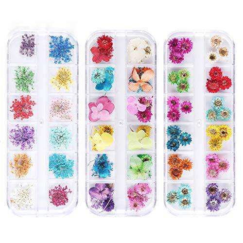 iFancer 108 Pcs Nail Dried Flowers 48 Colors 3D Nail Art Real Flowers Nature Dry Petals Leaves Decor for Nail Art Design Manicure Decoration
