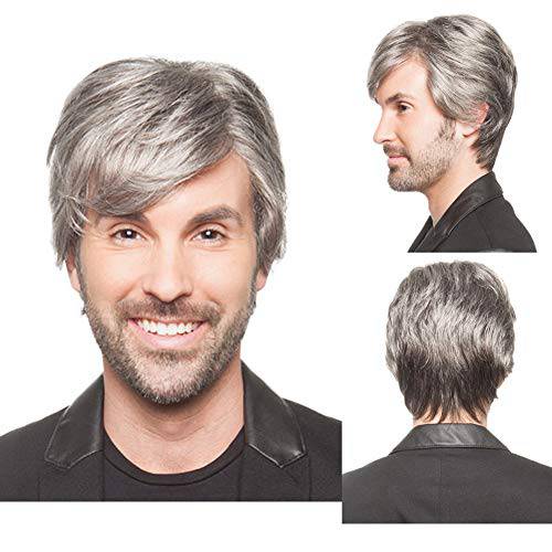 BERON Silver Gray Wig Men Wig Short Straight Wig Silver Gray boys Male Wig Heat Resistant Synthetic Cosplay Daily Wear Wig (Silver Gray)