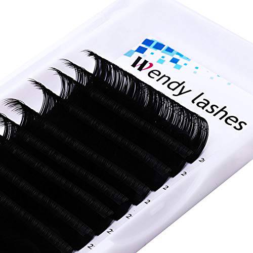 Eyelash Extension Lashes 20-25mm Mixed Length Individual Eyelashes D Curl Classic Eyelash Extensions Supplies .10 .15 .20 .25mm Single Lashes (0.10-D, Mixed 20-25mm)
