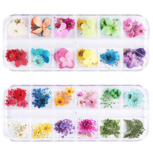GOTONE 2Boxes Dried Flowers Mixed Sequins 3D Nail Art Stickers Decoration DIY Preserved Real Flower Stickers Tips Manicure Decor Mixed Accessories for Resin Mold